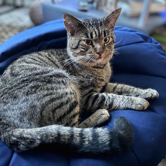 Meet your Posher, Michael - Picture 2 of 2